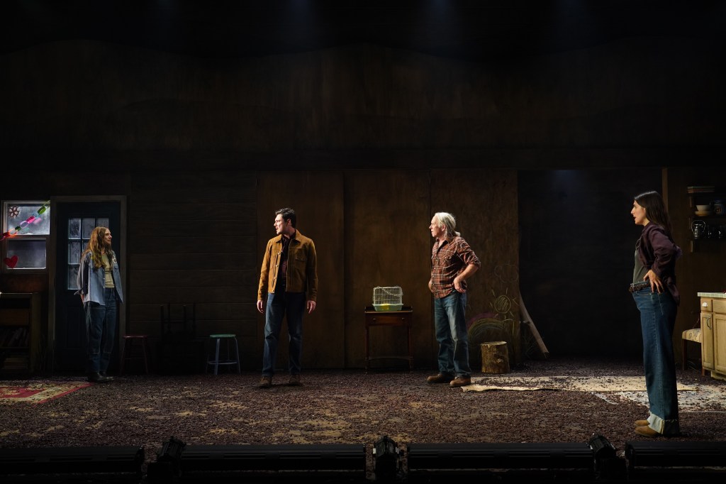 (L to R): Cricket Brown, Tom Pecinka, Bruce McKenzie, Marianne Rendon in 'The Burning Cauldron of Fiery Fire' (Carol Rosegg)