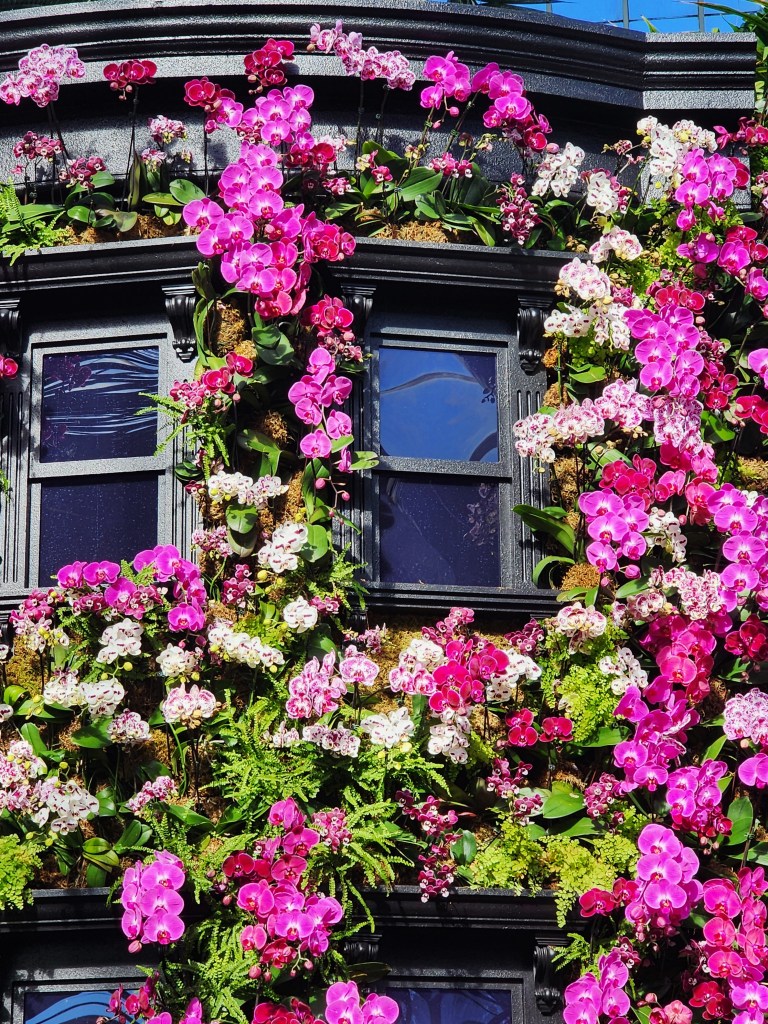 'The Orchid Show Mr. Flower Fantastic's Concrete Jungle,' NYBG Palms  of the World Gallery (Carole Di Tosti)