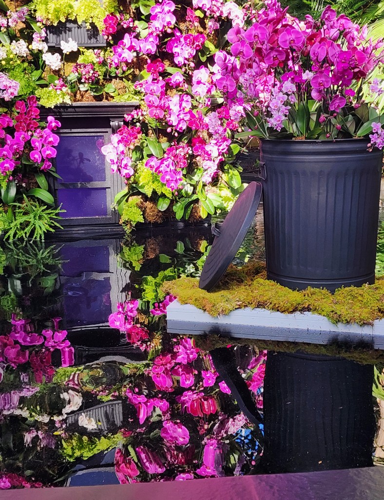 Townhouse detail and reflections. NYBG, 'The Orchid Show Mr. Flower Fantastic's Concrete Jungle,'  Palms  of the World Gallery (Carole Di Tosti)
