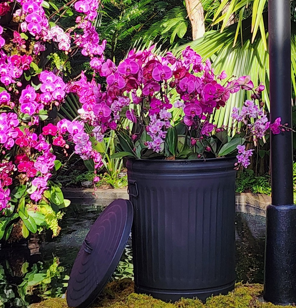 Here, a fanciful garbage pail of flowers spilling not garbage, but moth orchids, 'The Orchid Show Mr. Flower Fantastic's Concrete Jungle, 'detail, NYBG Palms  of the World Gallery (Carole Di Tosti) 