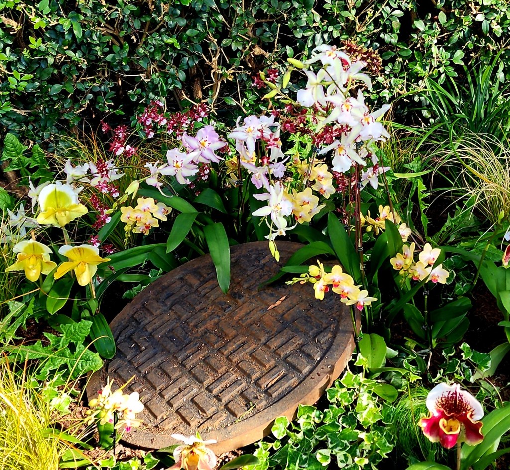 A familiar object staged in a lovely planting of moth orchid hybrids, lady slipper orchids, dancing lady orchids and dendrobiums. NYBG 'The Orchid Show Mr. Flower Fantastic's Concrete Jungle' (Carole Di Tosti)