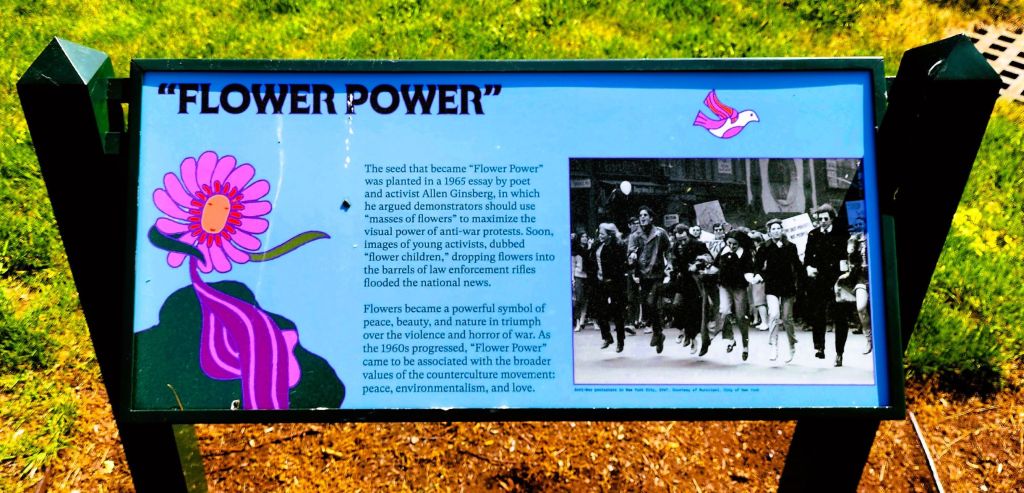 Poet Allen Ginsberg argued demonstrators should use masses of flowers to symbolize the visual power of anti-war protests. As the decade progressed, "Flower Power" came to be associated with the broader values of he counterculture movement: peace, environmentalism and love. NYBG signage (Carole Di Tosti)