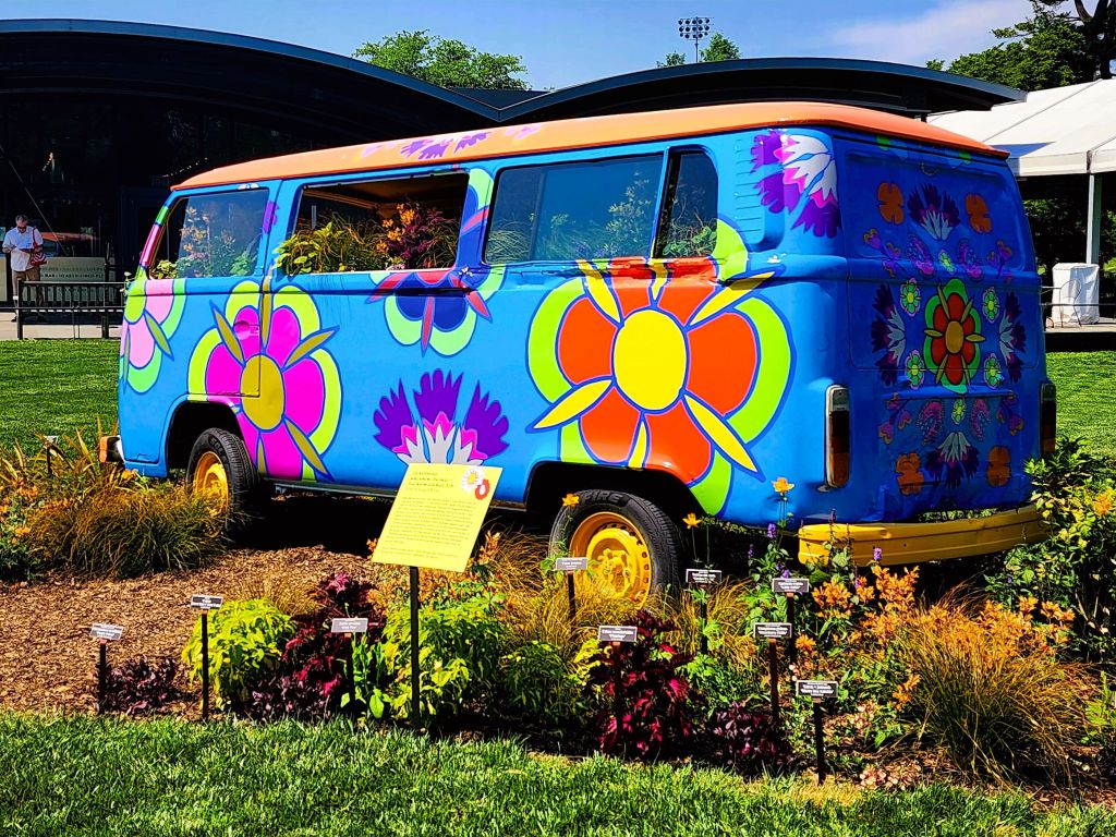 Nothing more iconic than the volkswagon bus carrying  flower children on journeys cross country or to a protest. Here, the flowers are drawn from the Codex de la Cruz Badiano (1552), the earliest known book on herbal medicine from the Americas. Artist Blanka Amezkua applies flower remedies onto a bus, and transforms this 60s symbol into a moving altar of healing and remembrance. (Carole Di Tosti)
