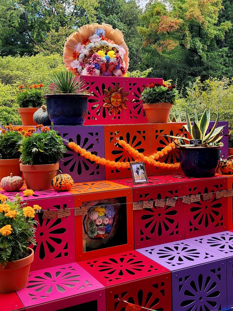 Three-tiered ofrenda, back detail (altar of remembrance) with plants of Mexico, 'Dia de los Muertos,' NYBG (Carole Di Tosti)