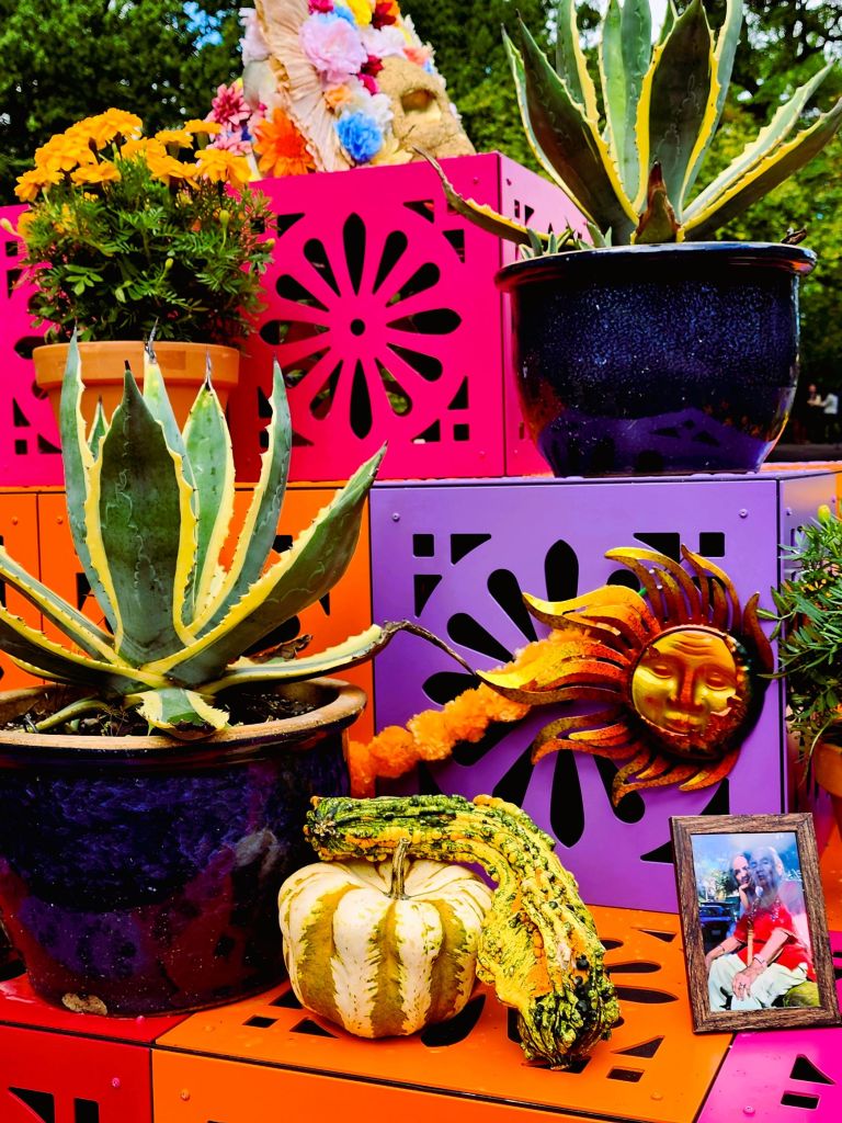 Photos of remembrance on the ofrenda, messages addressed to loved ones, 'Dia de los Muertos' at NYBG (Carole Di Tosti)