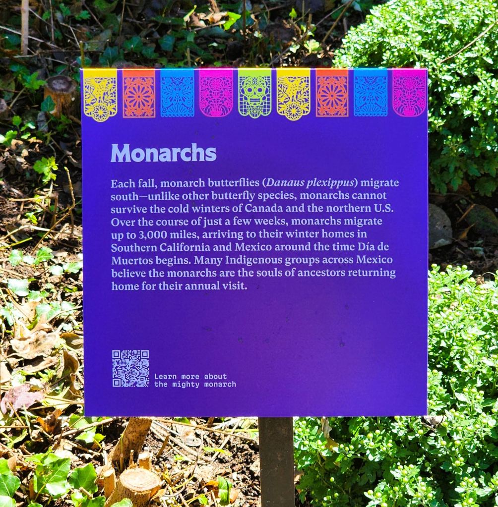 Monarch signage at NYBG Everett Children's Adventure Garden, 'Dia de los Muertos' celebration (Carole Di Tosti) 