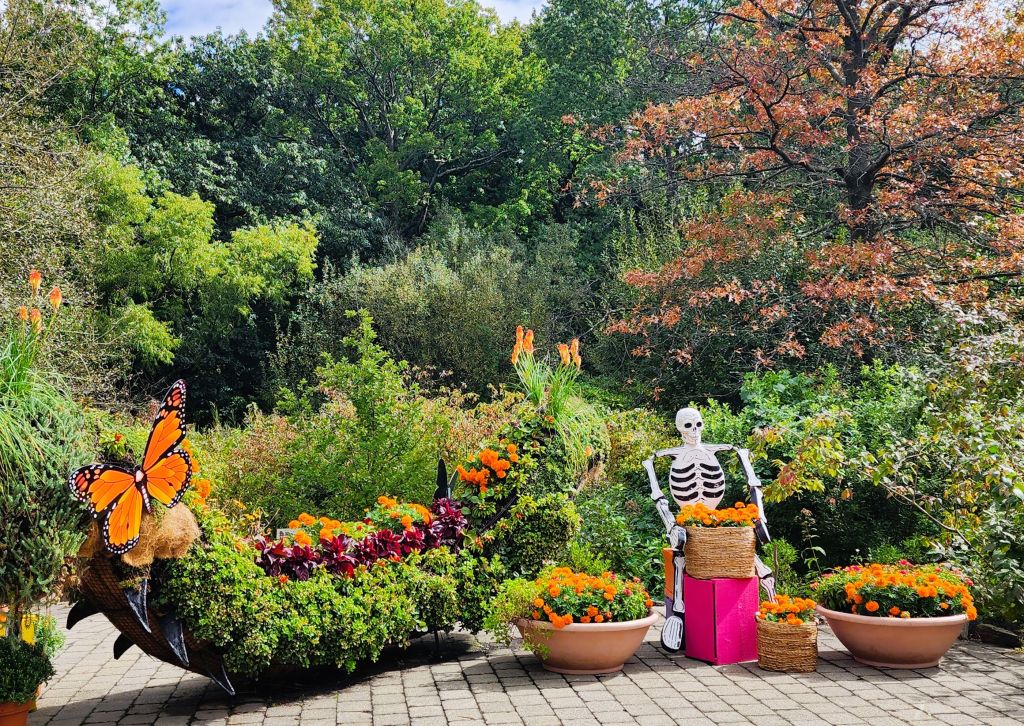 Monarch butterflies, a skeleton, marigolds and a caterpillar, 'Dia de los Muertos,' Everett Children's Garden, NYBG (Carole Di Tosti)