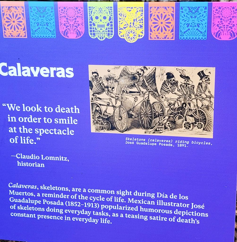Calaveras (skeletons) explained as a key feature of 'Dia de los Muertos' NYBG (Carole Di Tosti)