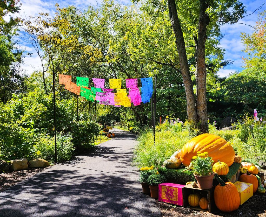 The path leading into 'Dia de los Muertos' interior fun and exhibits, Everett Children's Adventure Garden, NYBG (Carole Di Tosti)